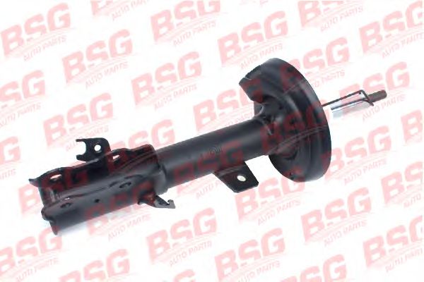 Амортизатор BSG BSG 30-300-031