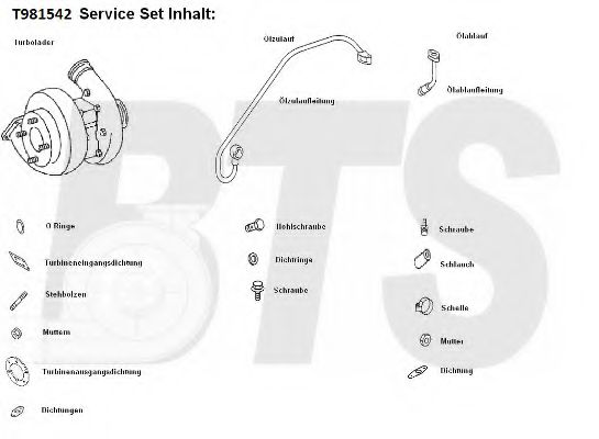 Компрессор, наддув BTS Turbo T981542