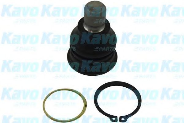 Несущий / направляющий шарнир KAVO PARTS SBJ-6541