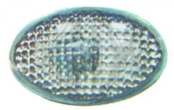 Фонарь указателя поворота DIEDERICHS 1812078