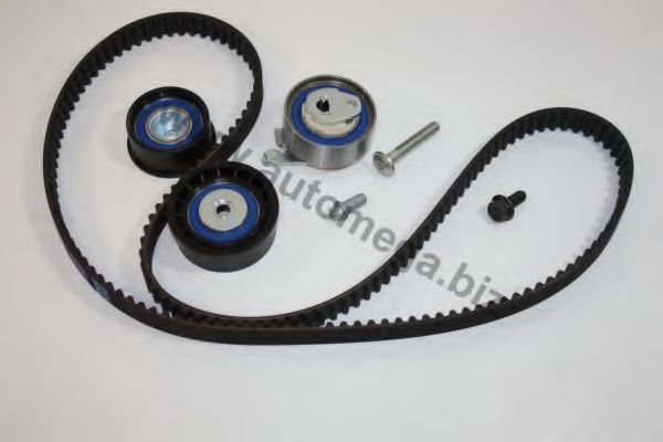Комплект ремня ГРМ AUTOMEGA 3116060281