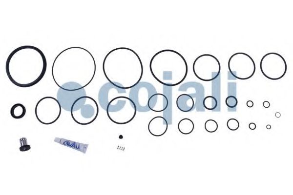 Ремкомплект COJALI 6012168