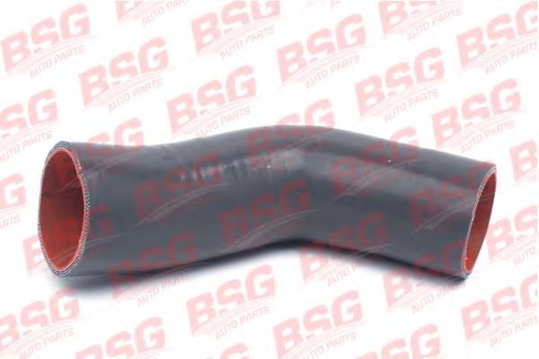 Шланг, система подачи воздуха BSG BSG 30-720-092