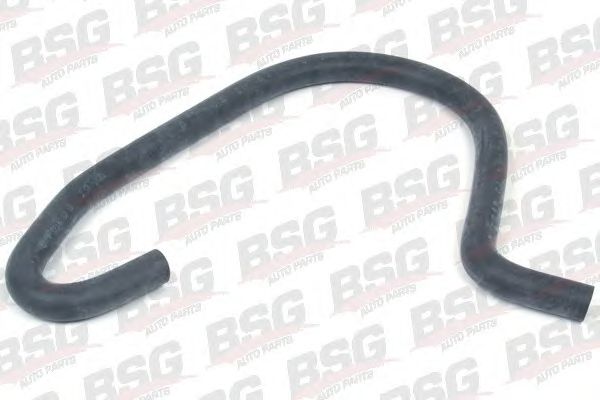 Шланг, теплообменник - отопление BSG BSG 30-720-043