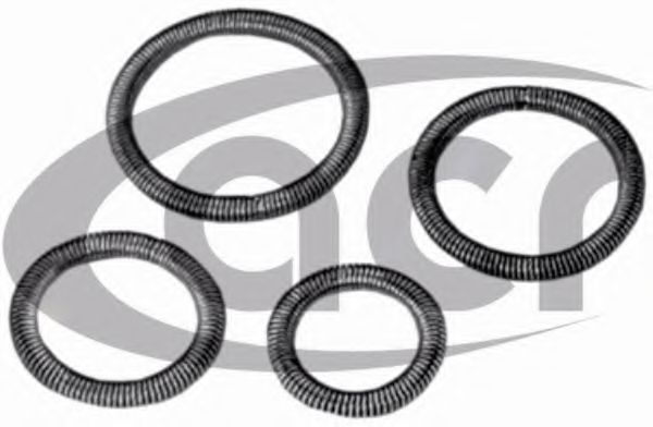 Ремкомплект уплотнительного кольца ACR 117079