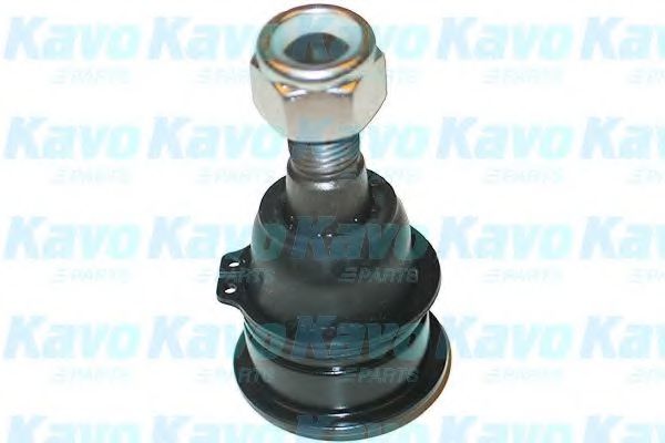 Несущий / направляющий шарнир KAVO PARTS SBJ-6508