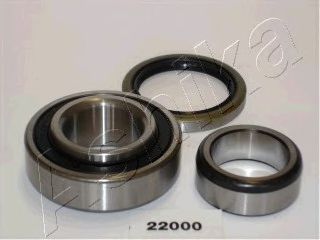 Комплект подшипника ступицы колеса ASHIKA 44-22000