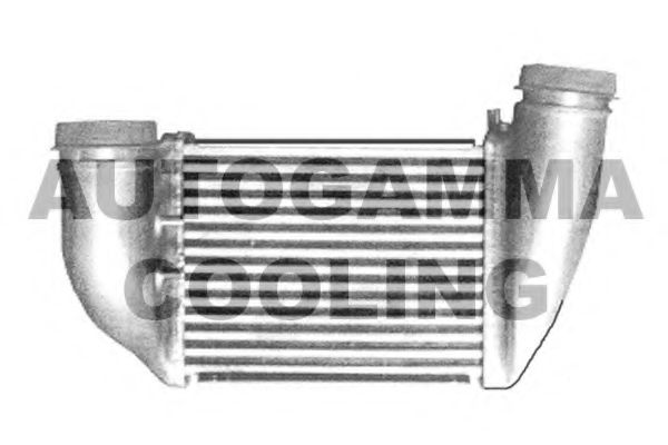 Интеркулер AUTOGAMMA 103884