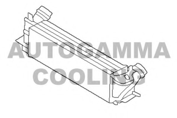 Интеркулер AUTOGAMMA 107303