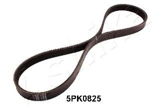 Поликлиновой ремень ASHIKA 112-5PK0825