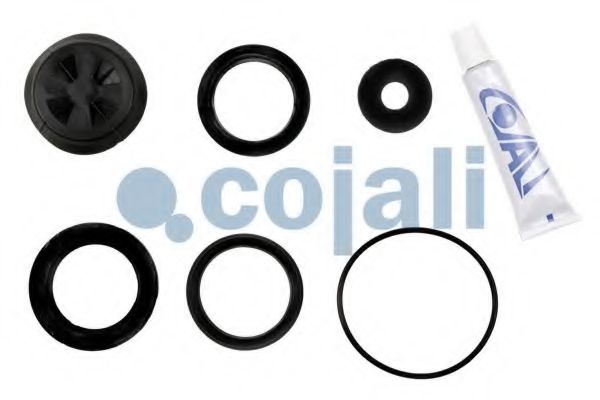 Ремкомплект COJALI 6012182