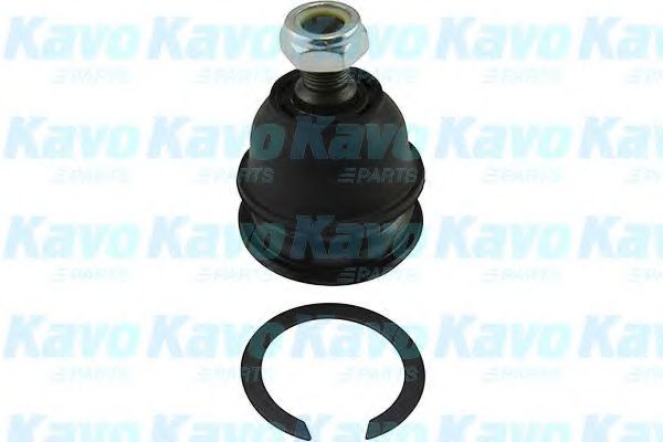 Несущий / направляющий шарнир KAVO PARTS SBJ-5521