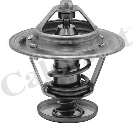 Термостат, охлаждающая жидкость CALORSTAT by Vernet TH6524.82