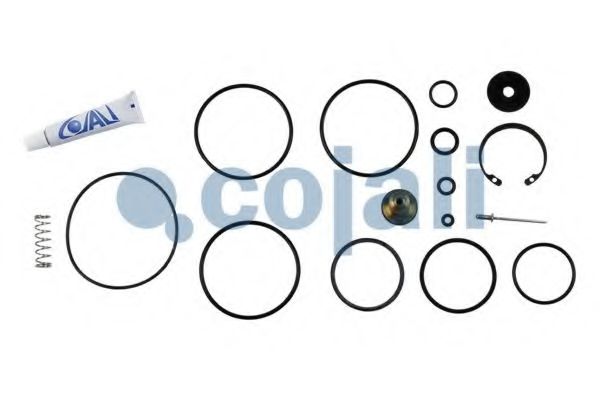 Ремкомплект COJALI 6012244