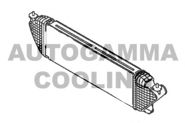 Интеркулер AUTOGAMMA 107338