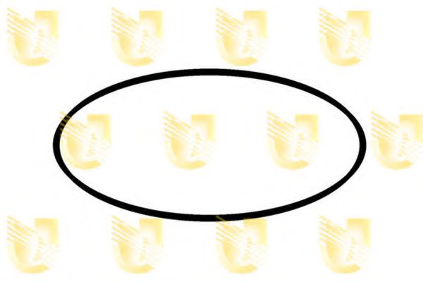 Уплотняющее кольцо вала, масляный насос MALÒ 2012