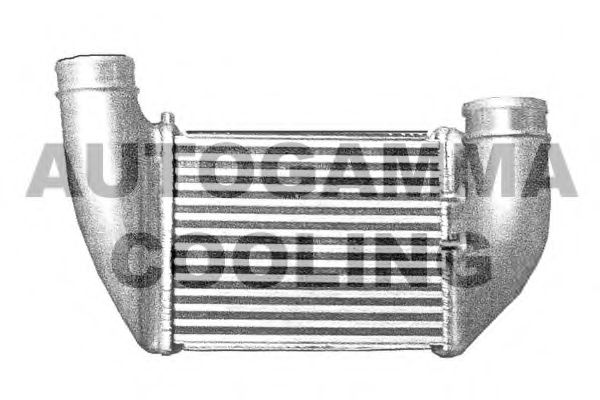 Интеркулер AUTOGAMMA 103885