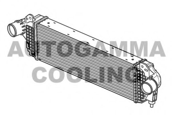 Интеркулер AUTOGAMMA 105950