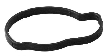 Прокладка, термостат; Прокладка, корпус термостата MOTORAD MG481