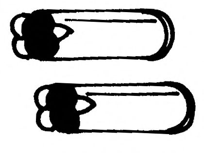 Труба выхлопного газа SIGAM 23700