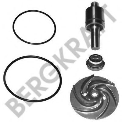 Ремкомплект, водяной насос BERGKRAFT BK8802707