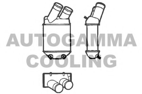 Интеркулер AUTOGAMMA 101493