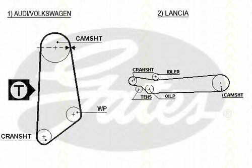 Ремень ГРМ PEX 202091