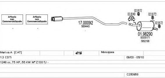Система выпуска ОГ MTS C250958011030