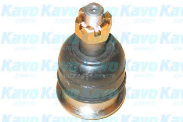Несущий / направляющий шарнир KAVO PARTS SBJ-9034