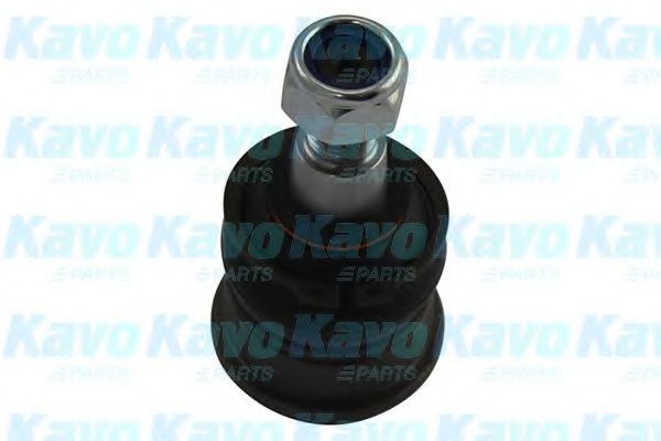 Несущий / направляющий шарнир KAVO PARTS SBJ-9094