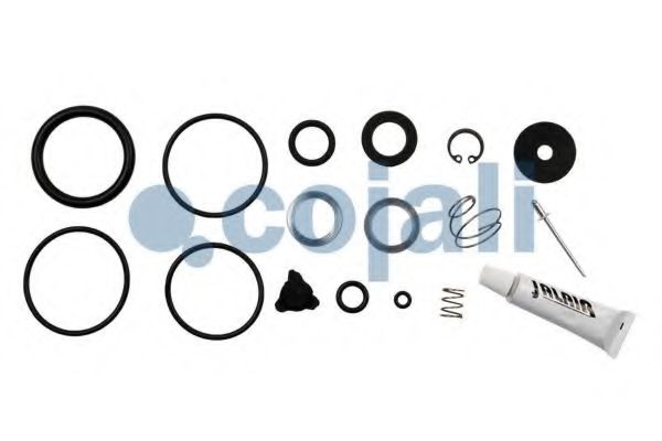 Ремонтный комплект, осущитель во COJALI 6012229