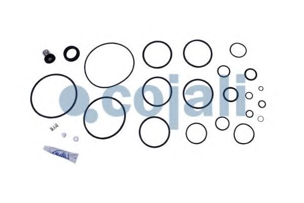 Ремкомплект COJALI 6012240