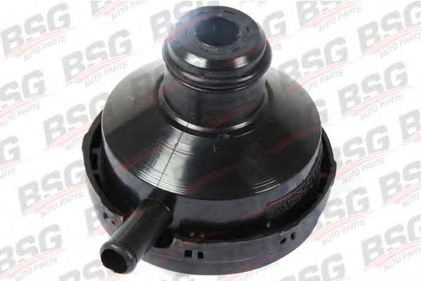 Крышка, заливная горловина BSG BSG 30-700-033