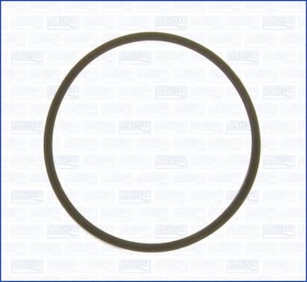 Прокладка, термостат AJUSA 00521500