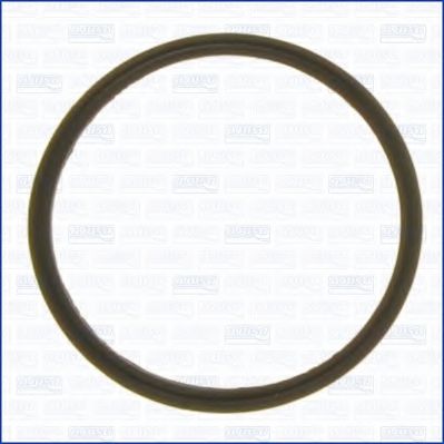 Прокладка, термостат AJUSA 01173500