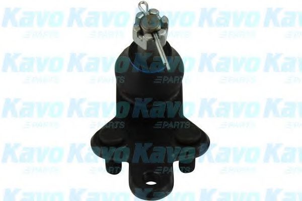 Несущий / направляющий шарнир KAVO PARTS SBJ-9009