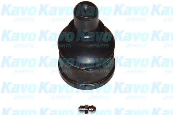 Несущий / направляющий шарнир KAVO PARTS SBJ-4505