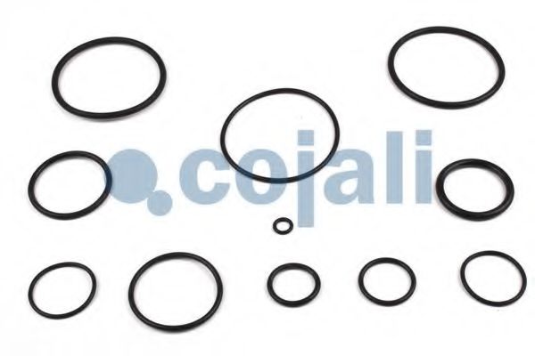 Ремкомплект, ускорительный клапан COJALI 6012173