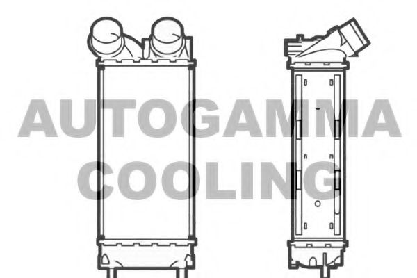 Интеркулер AUTOGAMMA 104470