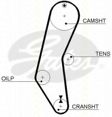 Ремень ГРМ PEX 202094