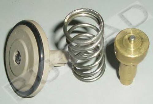 Термостат, охлаждающая жидкость BUGIAD BSP21564