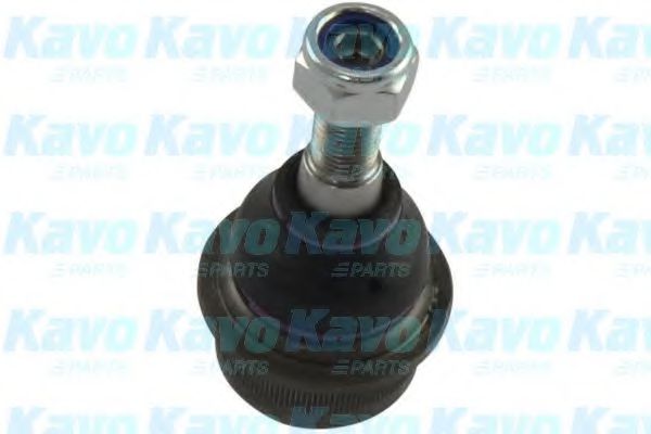 Несущий / направляющий шарнир KAVO PARTS SBJ-6547