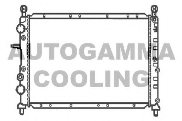 Радиатор, охлаждение двигателя AUTOGAMMA 100266