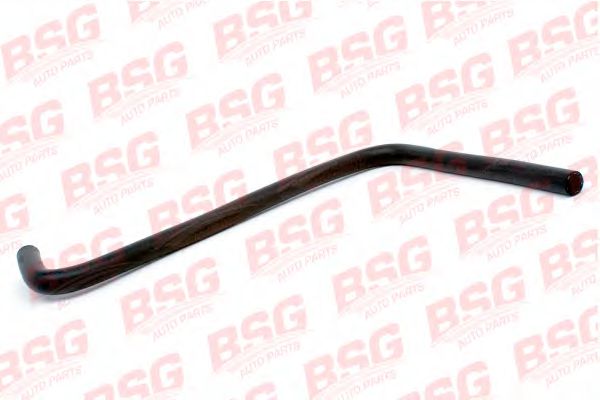 Шланг BSG 30720019