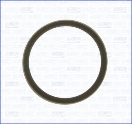 Прокладка, термостат AJUSA 00975700