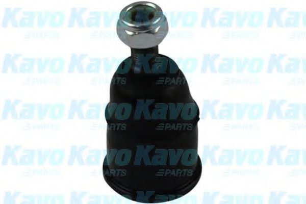 Несущий / направляющий шарнир KAVO PARTS SBJ-2001