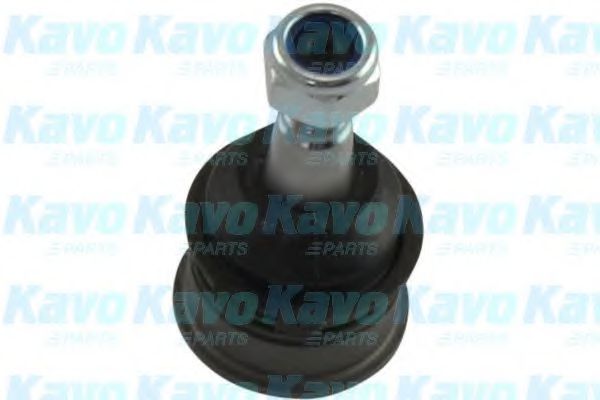 Несущий / направляющий шарнир KAVO PARTS SBJ-6560