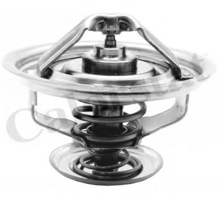 Термостат, охлаждающая жидкость CALORSTAT by Vernet TH7137.83J