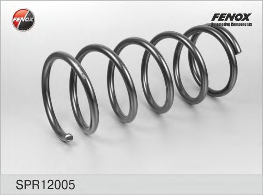 Пружина ходовой части FENOX SPR12005