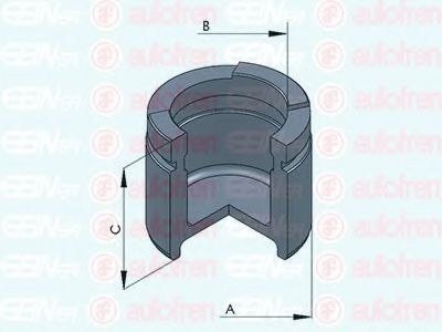 Поршень, корпус скобы тормоза AUTOFREN SEINSA D025458